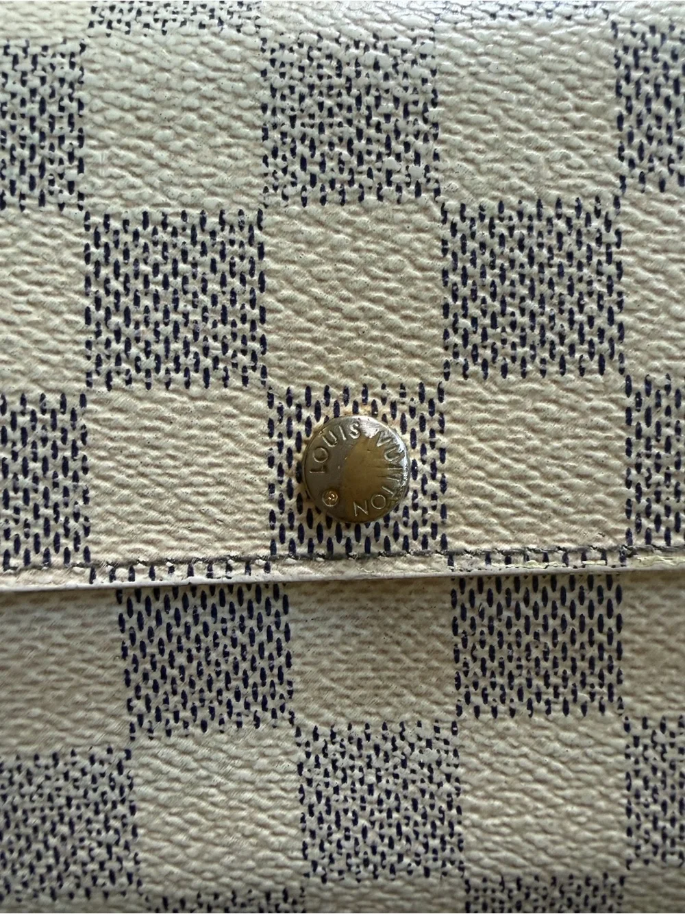 Louis Vuitton authentic louis